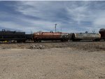 SCIH 164557